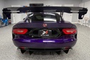 Viper5.jpg