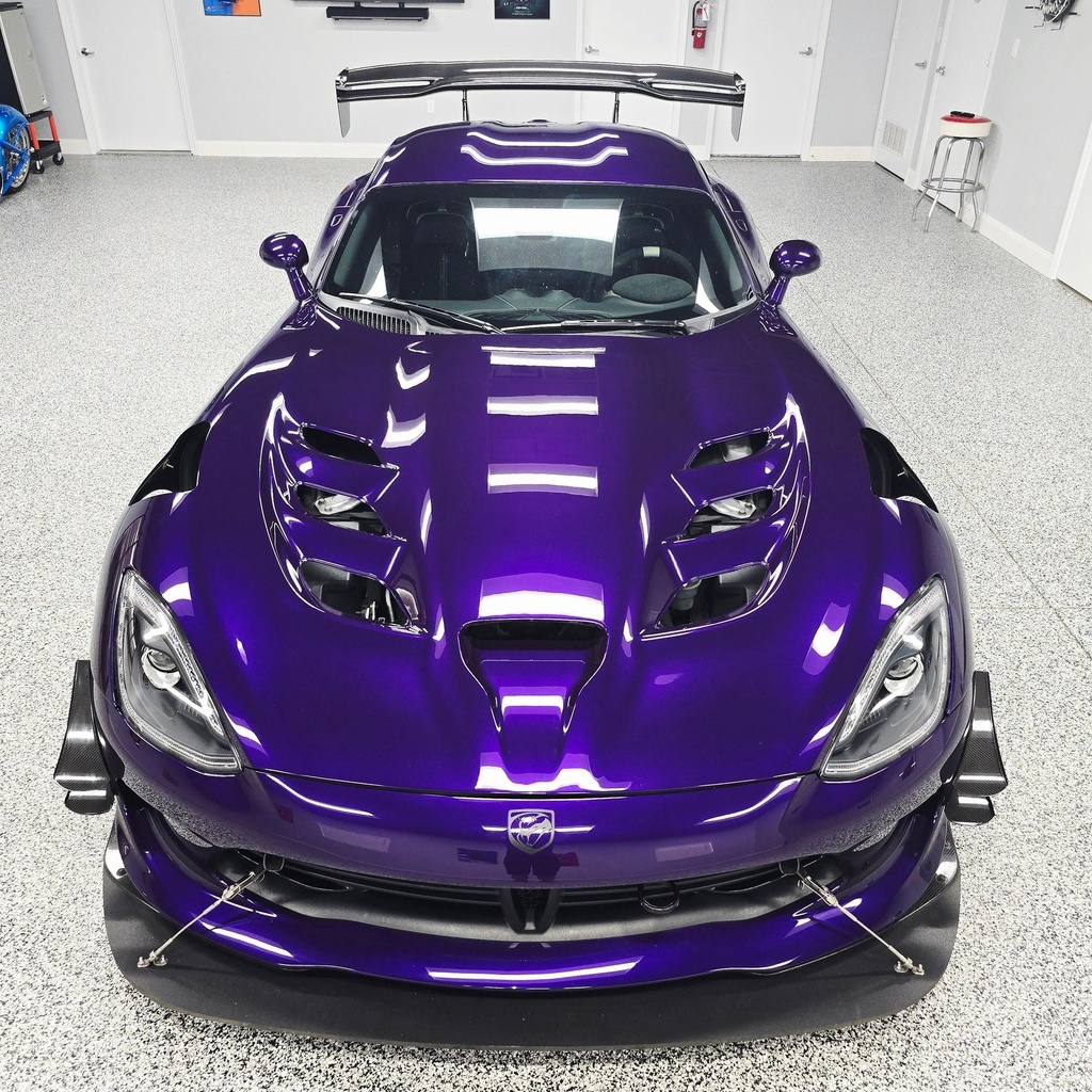 Viper6.jpg