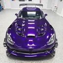 Viper6.jpg