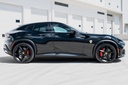 Purasangue10.jpg