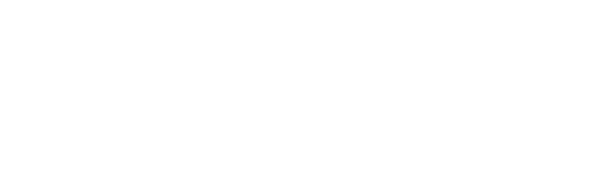 Subastacars